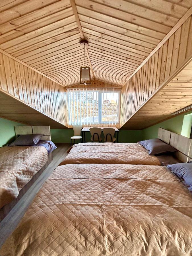 Dandelion Hotel Gudauri Ganisi Eksteriør billede